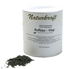 Aufbau-Vital Foto von Aufbau-Vital